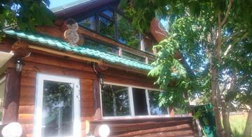 Фото номера Двухуровневые апартаменты Апартаменты House by the River г. Пермь 18