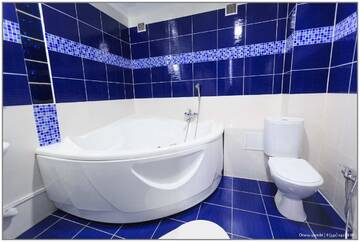 Фото номера DeLux Апарт-отель отель &quot;Отель цветЫ&quot; г. Пермь 7